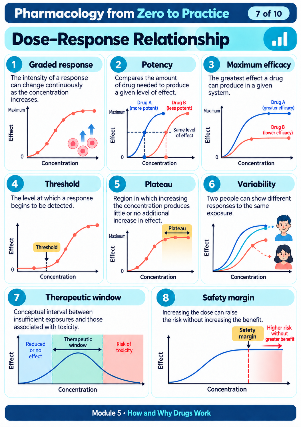 Pharmacology Sample 13